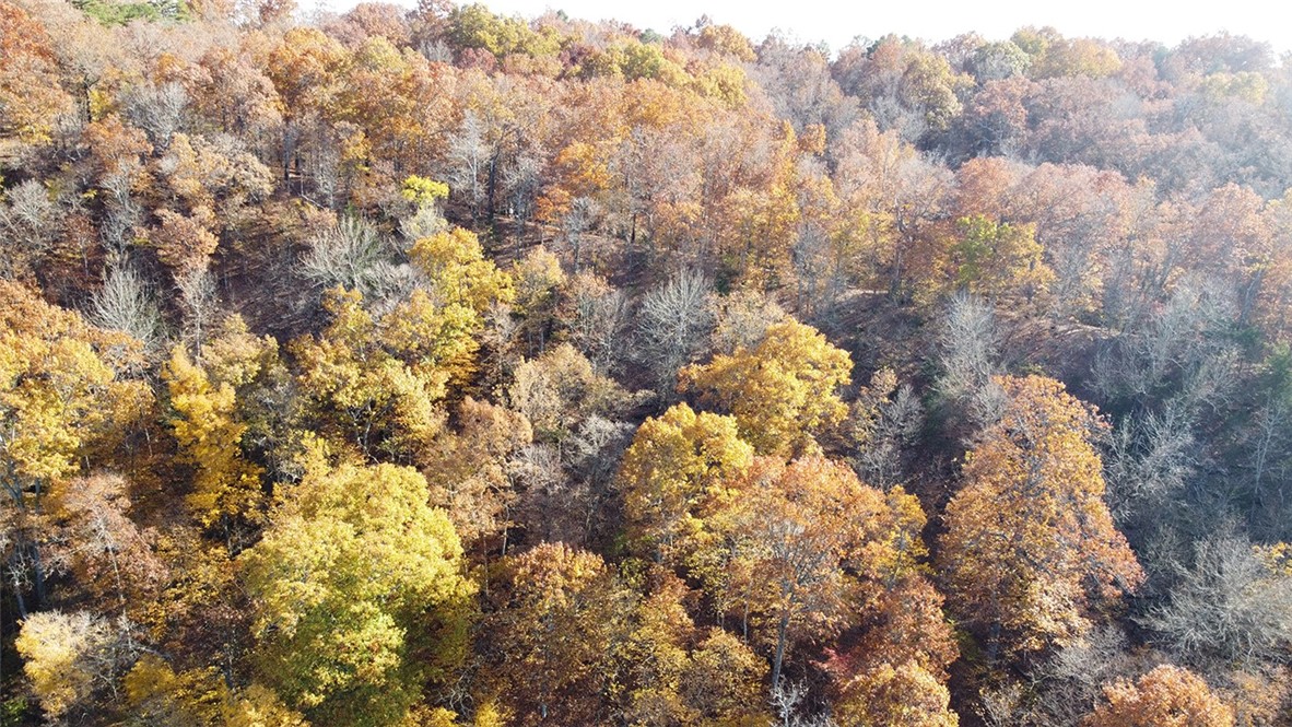 Bar-Zel Point - Land