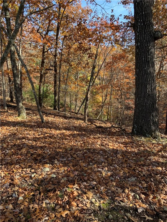 Bar-Zel Point - Land