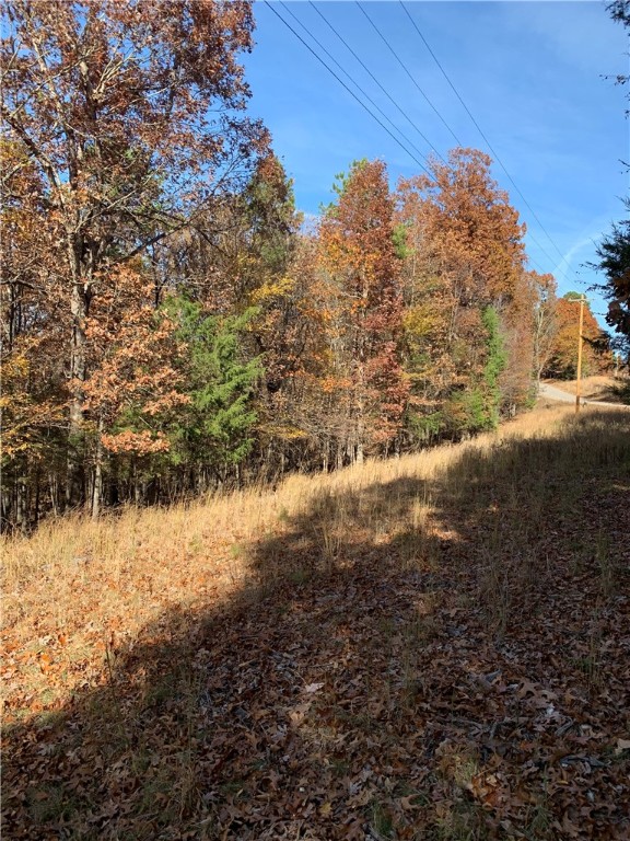 Bar-Zel Point - Land