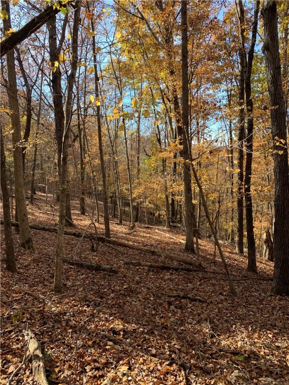 Bar-Zel Point - Land