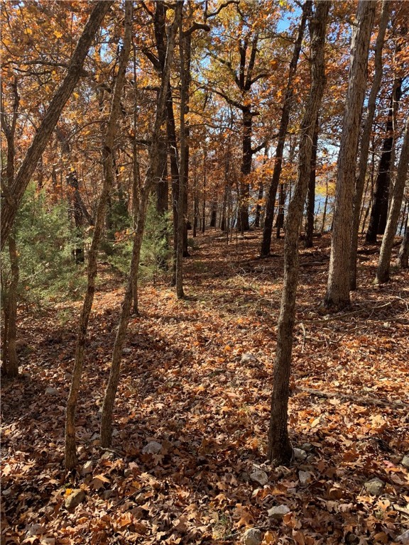 Bar-Zel Point - Land