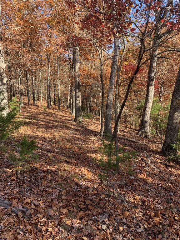 Bar-Zel Point - Land