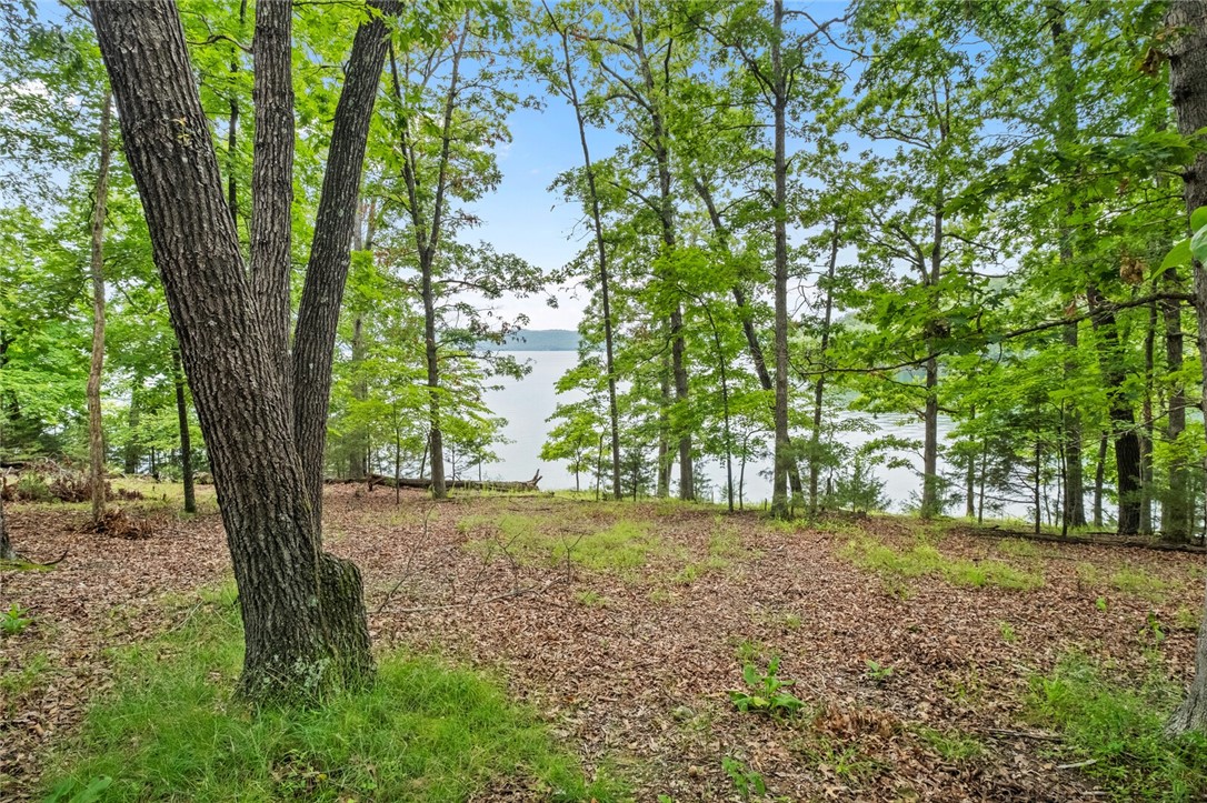 The Bluffs at Jackson Cove - Residential