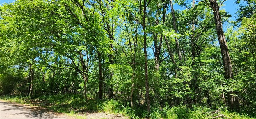 Come and see this home sight on a rare 1 acre lot in a quiet established subdivision on the south end of Russellville City Limits. This residential lot boasts country life while still being in the city. Area has quick access to Russellville amenities as well as Dardanelle and Pottsville. Enjoy the outdoors being minutes from the Arkansas River, Mt. Nebo, Old Post Park, and Lake Dardanelle. It is located in Pottsville school district.
