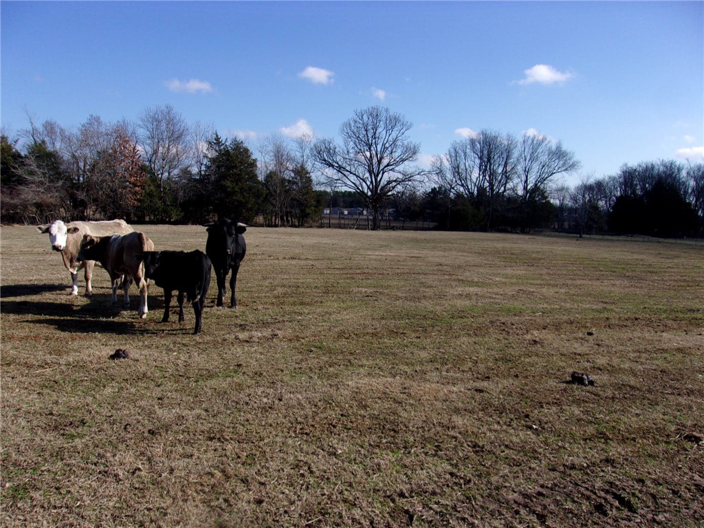 Springdale Outlots - Residential