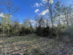 Excellent Wooded 6.9 acres with Hwy 125 Road Frontage in Peel Arkansas. Just 10 minutes to Highway 125 Marina on Bull Shoals Lake and an hour to Branson MO