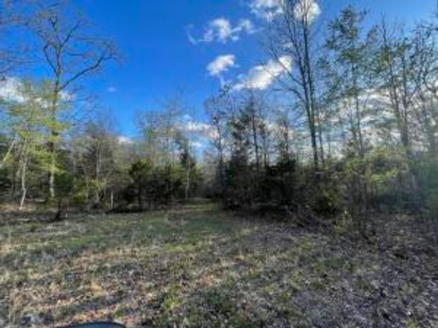 Excellent Wooded 6.9 acres with Hwy 125 Road Frontage in Peel Arkansas.  Just 10 minutes to Highway 125 Marina on Bull Shoals Lake and an hour to Branson MO