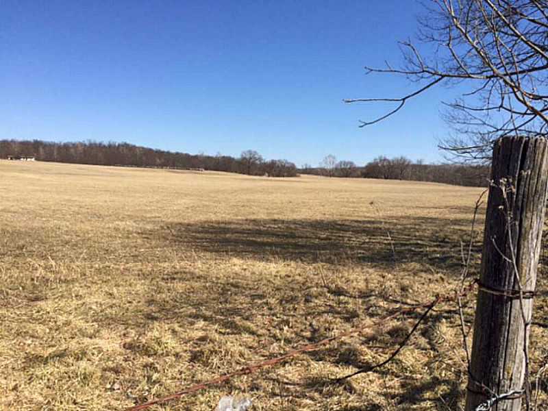 Excellent pasture, approx 70 acres open. Spavinaw Creek crosses property approx 1/3mi with trout. Paved road past part of property. Rural water available.
