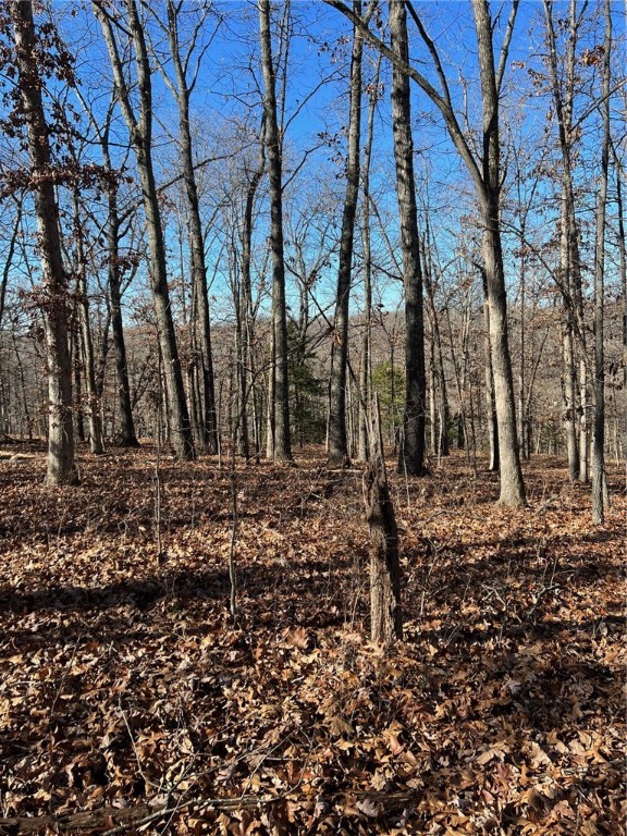 This .29 acres would be the perfect spot for your dream home. Close to Mountain Biking, trails and golf courses. This gently sloping lot towards the road will be the perfect location for a new construction home. Buyer to verify utilities. Perc Results: Two bedroom home would need 290 ft of lateral line and a One bedroom home would need 145 ft of lateral line.