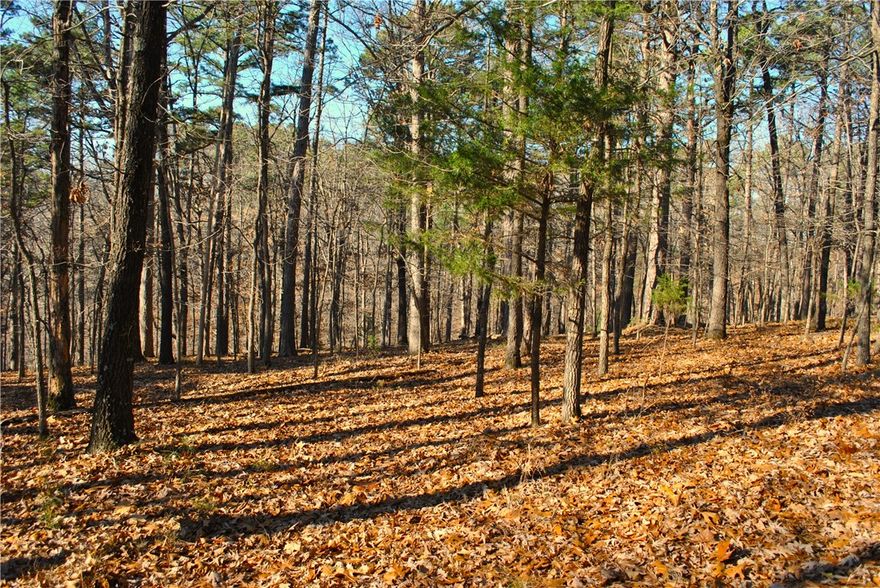 Hiking, biking & outdoor enthusiasts ! Don't miss this opportunity to own 3.1 beautiful & tranquil acres tucked away from busy city life. Build your dream home the way you envision with no restrictions here in the Ozarks ! The way to your new property winds through the unspoiled nature of Hobbs State Park. Incredible location with municipal water, electricity and paved road all of the 13 miles to Rogers. Also close to iconic War Eagle Mill & War Eagle Caverns. Lake access at end of Pullum Place Rd ~2.5 miles away. Hidden Diversity Piney Trailhead ~1.5 miles away & the Townsend Ridge Rd Trail access is ~1 mile away. 4 Wheel Drive not necessary but low clearance vehicles may want to park at street and walk in at sign. Survey is being conducted to split North 3 acres from parent parcel. Taxes estimated & subject to survey and lot split. Using GPS go to 10591 Piney Road & go straight at the stop sign.  Property is on right.