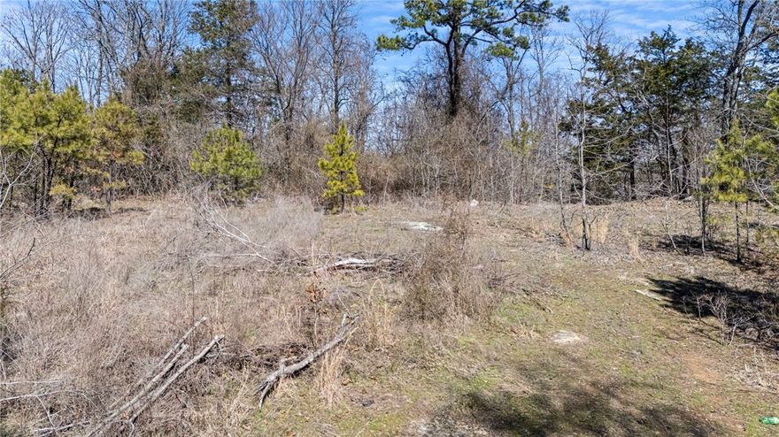 Enjoy 80 +- acres of potential views and seclusion along Sims Hollow Road in Pope County Arkansas. Located 3 minutes from Interstate 40 access, 9 minutes Arkansas Nuclear One, and 16 minutes from downtown Russellville. No mobile homes allowed on the area between Sims Hollow Road and Old Chimney Rock Road.