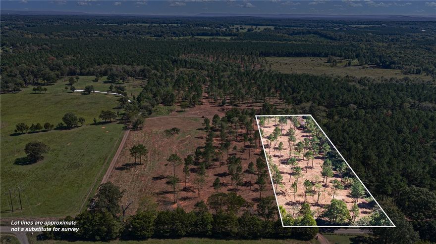Looking for that perfect spot out in the country to be able to build your home, an air bnb, or even set your mobile home on? Come & take a look at this wonderful tract to be had. With utilities nearby & cleared out space for you to come & enjoy everyday. Call & book your private tour.