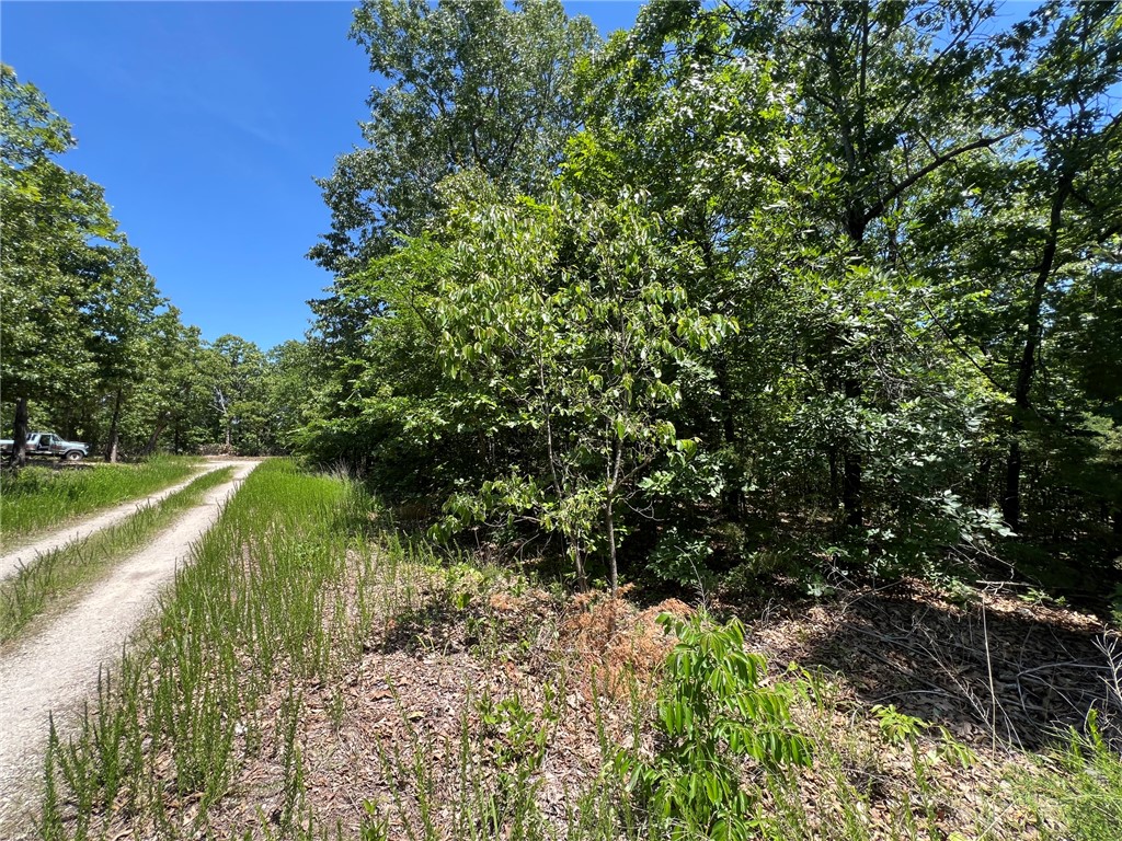 Jones Point Estates - Land