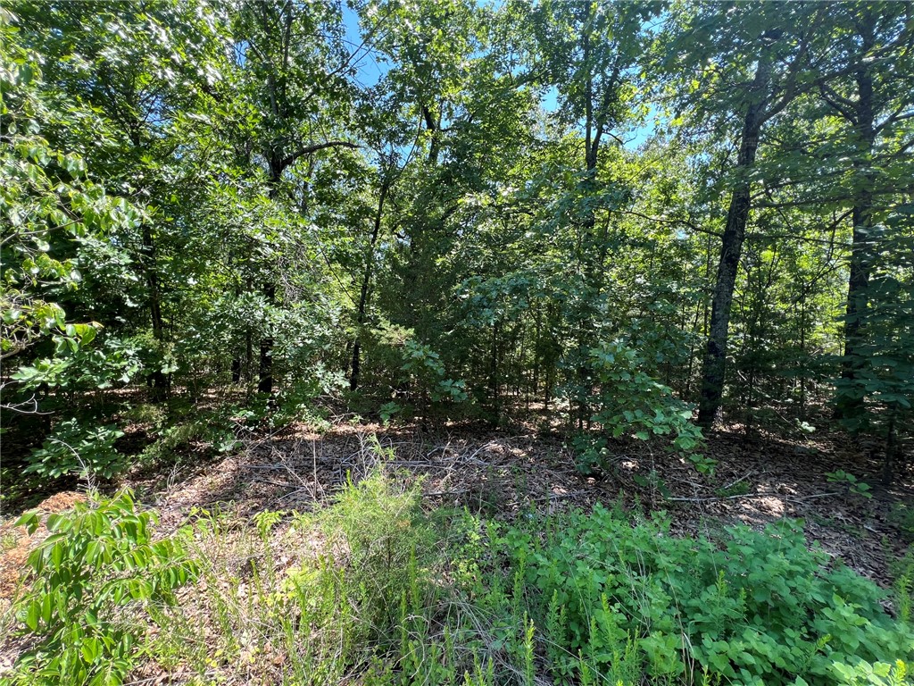 Jones Point Estates - Land