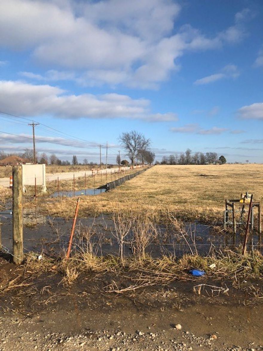 Deep topsoil, rich pastures, level and cleared
