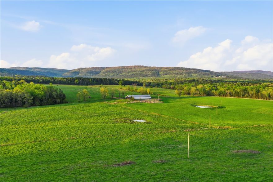 Absolutely Fantastic Views on this Ozark Mountain Farm! Live your dream and own this Beautiful homeplace! Two Large homes are included, plus great pastures, hay barn, shop and many other out-buildingsl Multiple ponds, great pasture, fenced and cross fenced. About 141 acres cleared and fenced and cross-fenced. Good access off County Road 4451 to large portion of the land. The larger home offers a one in a million view of your own private valley below! Custom built in 1996, It has a cathedral ceiling with fireplace huge windows, three bedrooms and two and a half baths, a loft, a dining room, and outside a huge covered deck lets you enjoy views of the beautiful land. There is a large shop adjacent to the newer home. The second home is a four-bedroom, two bath historic home in very good condition. A cool older barn and other out-buildings are located by the older home. This property is just a few minutes from the Ozark National Forest and only ten minutes from town, call today to set up a appointment to see this one.