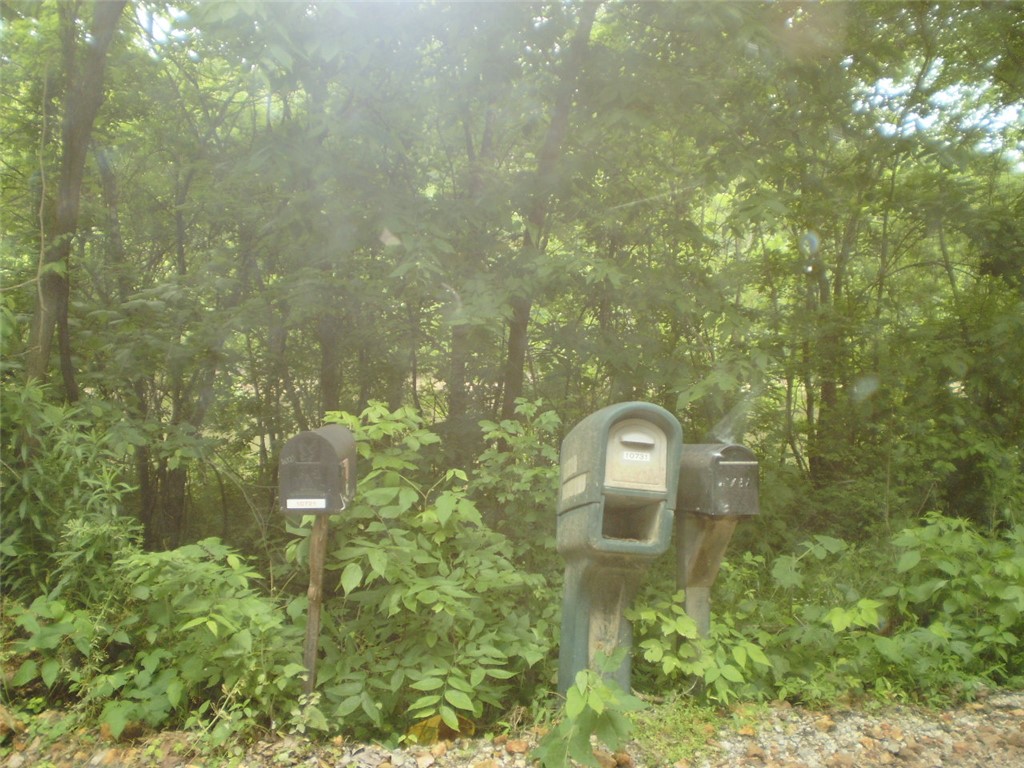 Rural - Land
