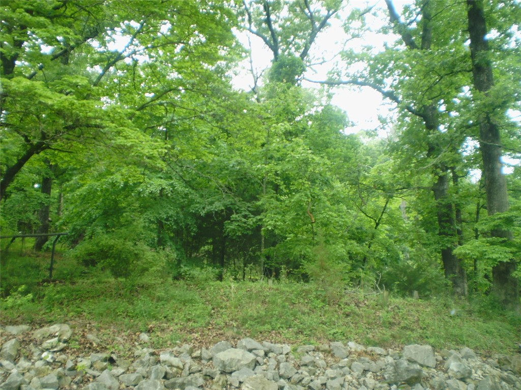 Rural - Land