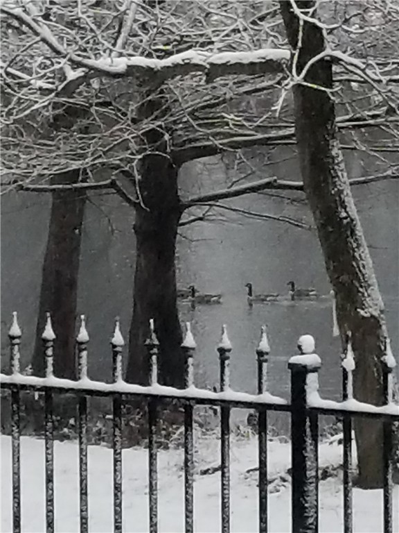 Crystal Cove - Residential