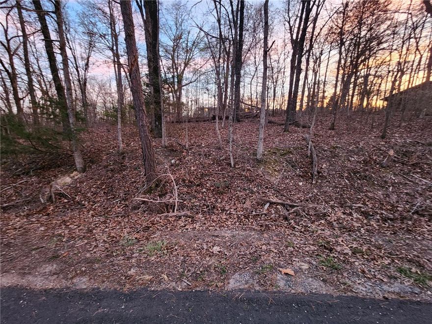 Build your dream home on this 0.22-acre flat lot nestled on a quiet cul-de-sac near scenic Lake Ann. Located in an established neighborhood, this property offers easy access to Town Center, the Lake Ann Trailhead, and Lake Ann Dam, perfect for enjoying the natural beauty of Bella Vista. Outdoor enthusiasts will love being just minutes from the Back 40 Trail system, Pinion Creek Falls, and endless biking and hiking opportunities. Enjoy the perks of resort-style living with access to 8 golf courses, 7 lakes, swimming pools, recreation centers, a shooting range, dining, and more. Whether you’re planning a full-time residence, a getaway retreat, or an investment opportunity, this lot offers the ideal location with a blend of convenience, recreation, and peaceful surroundings.