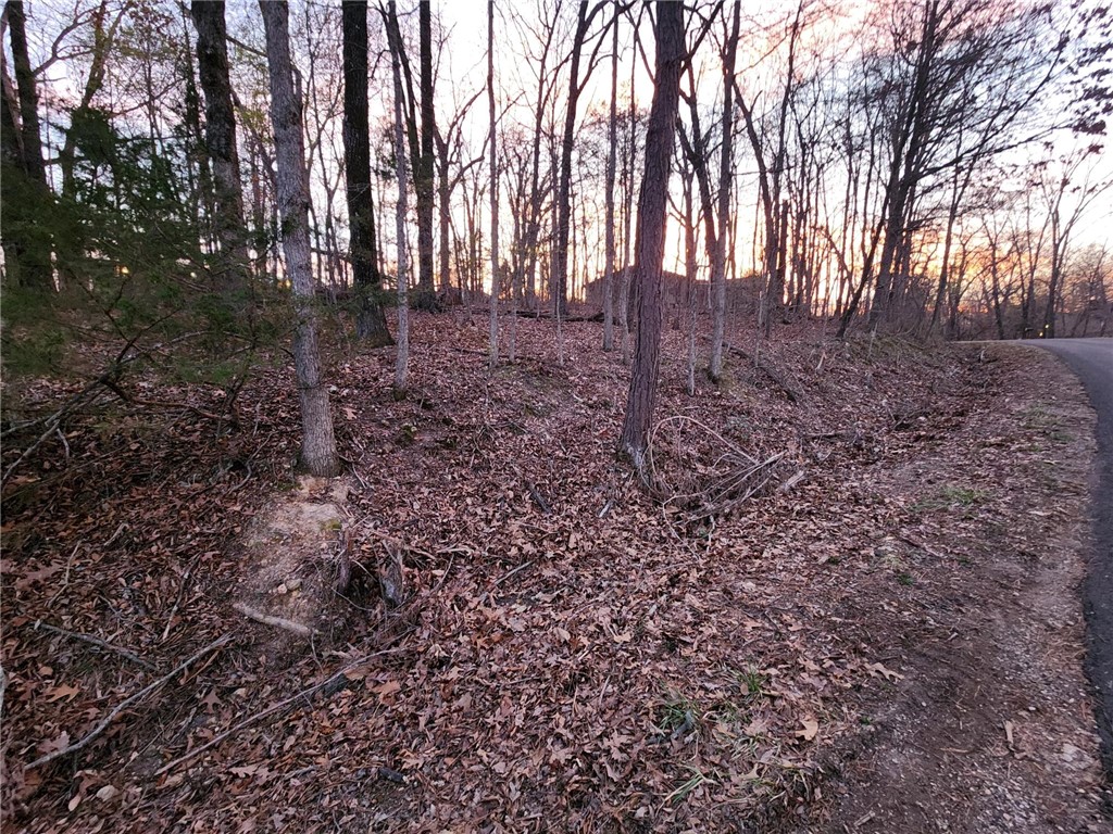 Leicester Sub Bvv - Land