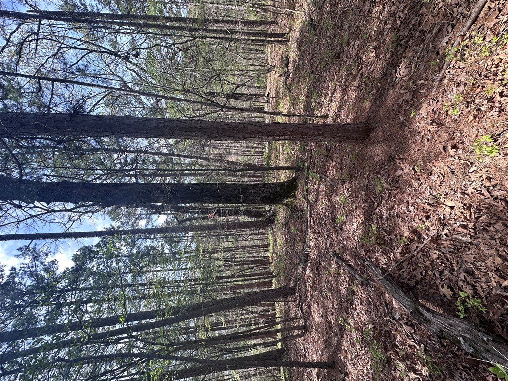 BUCKINGHAM SUB-BVV - Land