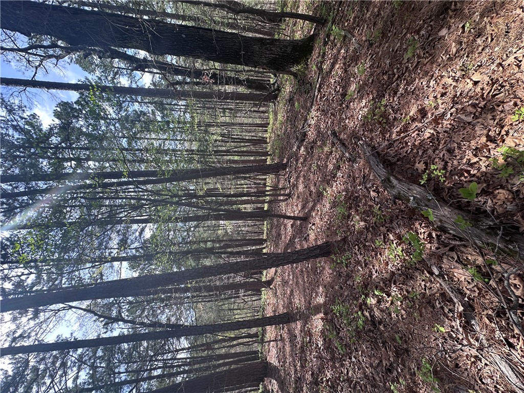 BUCKINGHAM SUB-BVV - Land