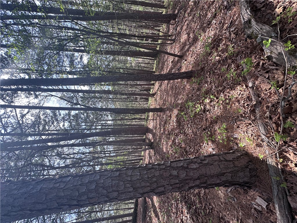 BUCKINGHAM SUB-BVV - Land