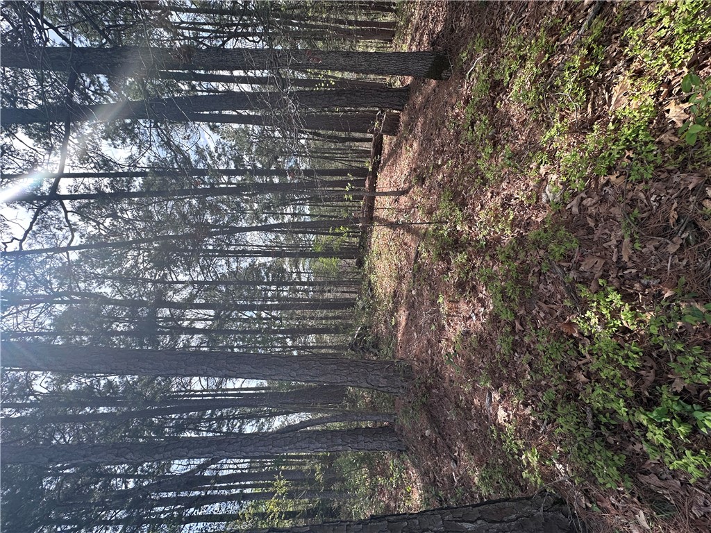 BUCKINGHAM SUB-BVV - Land