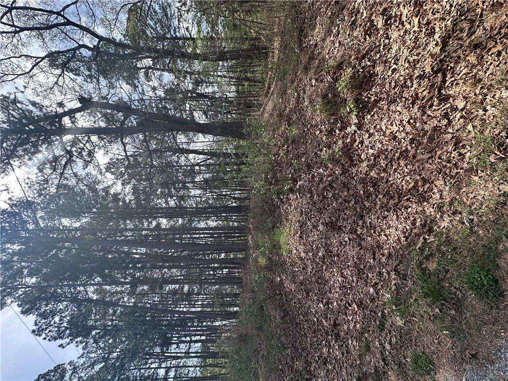 BUCKINGHAM SUB-BVV - Land