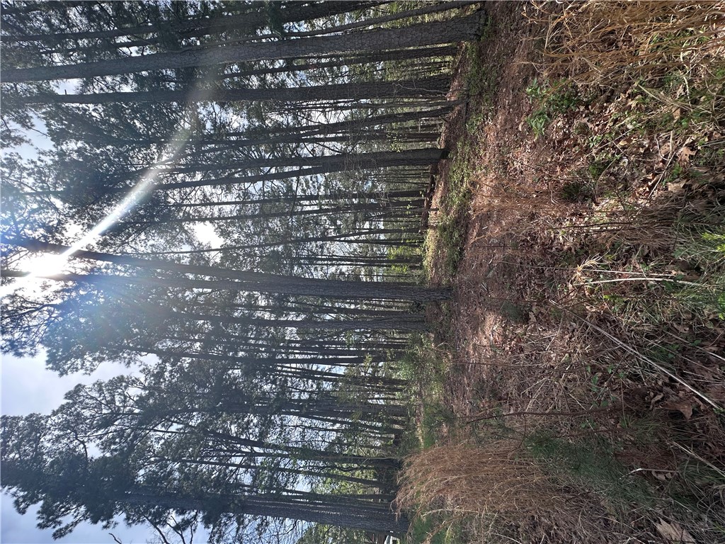 BUCKINGHAM SUB-BVV - Land