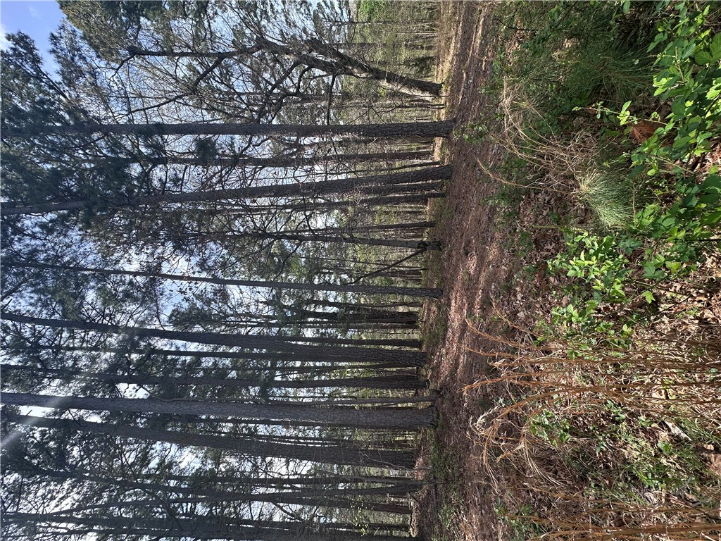 BUCKINGHAM SUB-BVV - Land