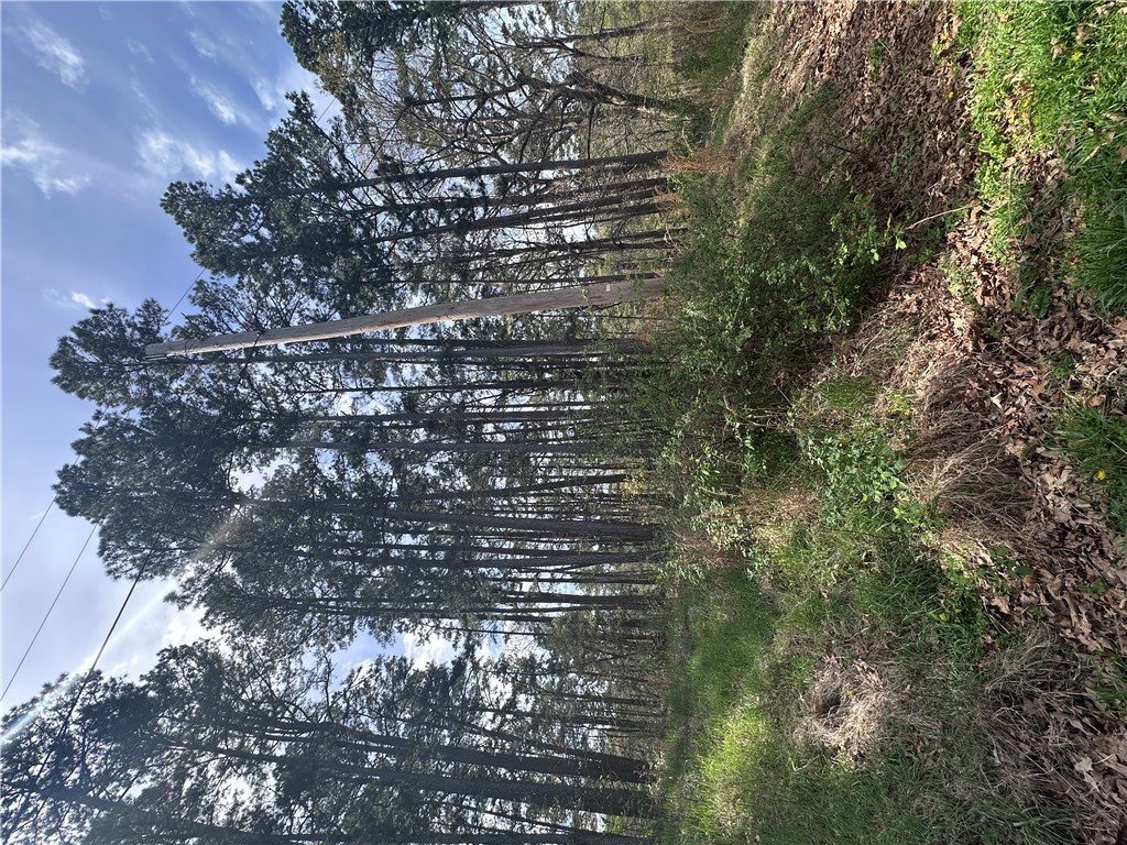 BUCKINGHAM SUB-BVV - Land