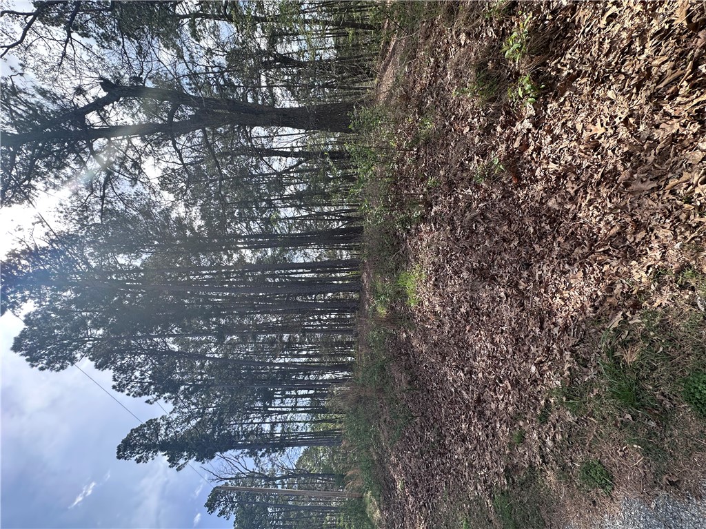 BUCKINGHAM SUB-BVV - Land