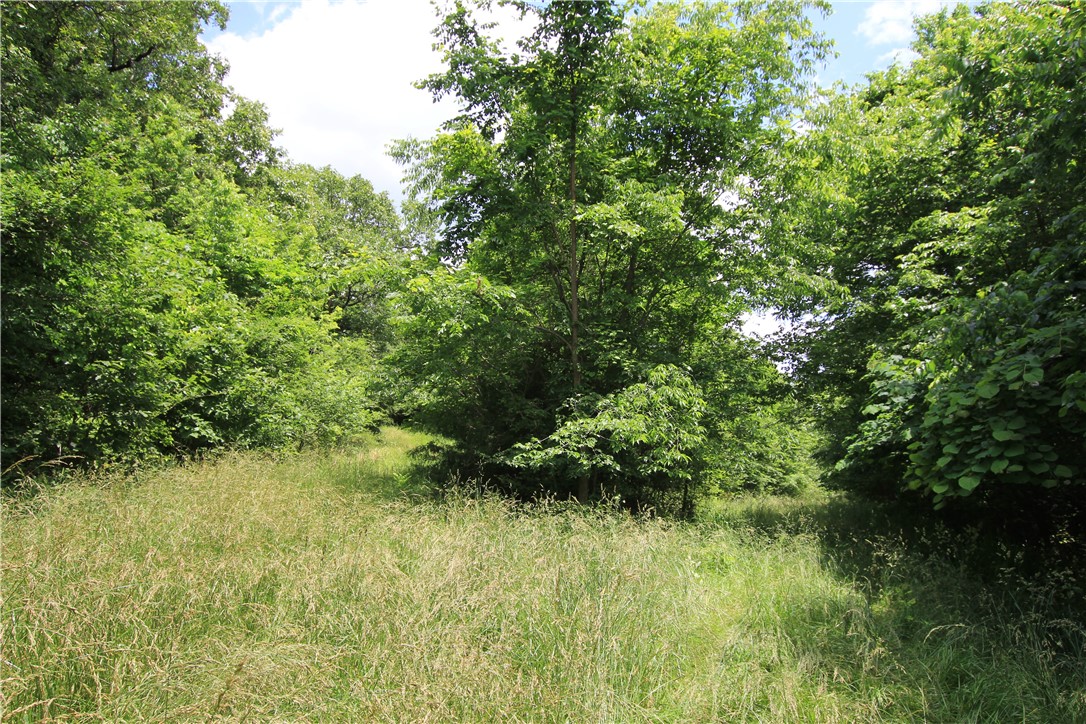 Densely wooded and privately situated at the dead end of multiple access points, this acreage offers great homesite potential. The gentle incline near the base of Round Mountain lends itself to a view out over the valley, and there are multiple points from which electric could be easily connected. In addition, it lays conveniently for the buyer who wishes to subdivide and recapture some of the initial costs. Wildlife is abundant, with deer likely to be observed on a daily basis from any future home, yard, or campsite. Quiet and secluded, yet only 15 minutes to the town of Green Forest, AR.