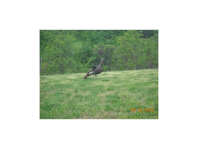 430 ac 1900 farm house in fair condition, shop building approx 120 ac in pasture