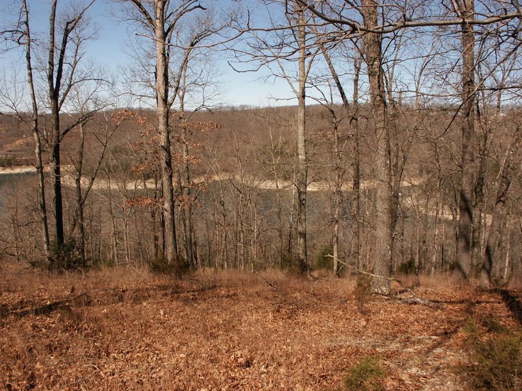 Panorama Shores - Land