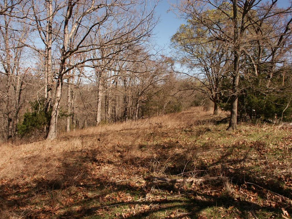 Panorama Shores - Land
