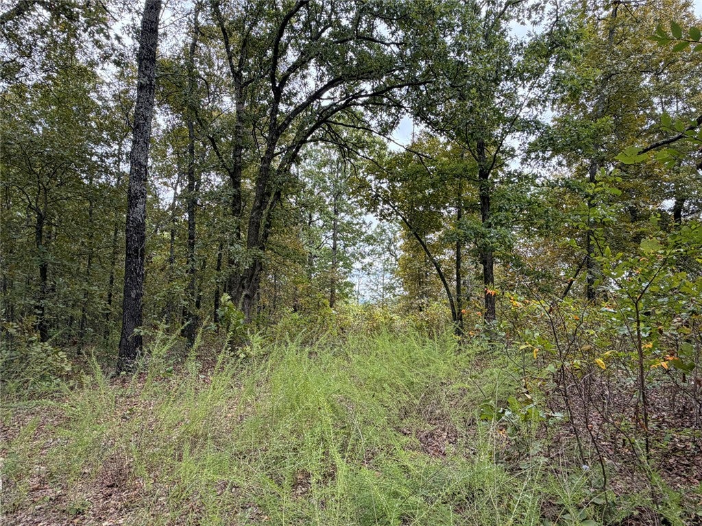 Minnow Road
