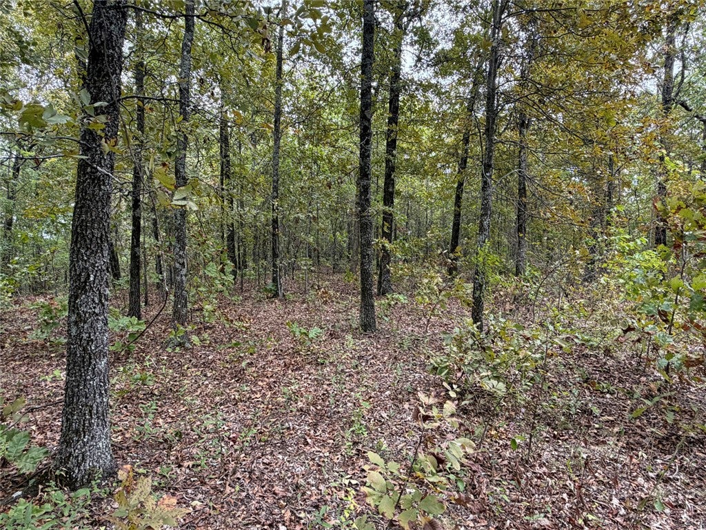 Minnow Road