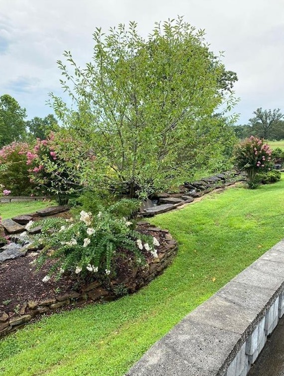 Outdoor Resorts/Ozarks Ph 2 - Land