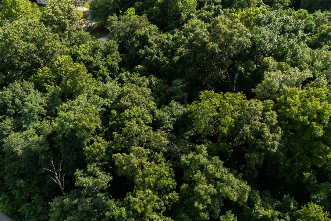 Red Oak Hills Rurban - Land
