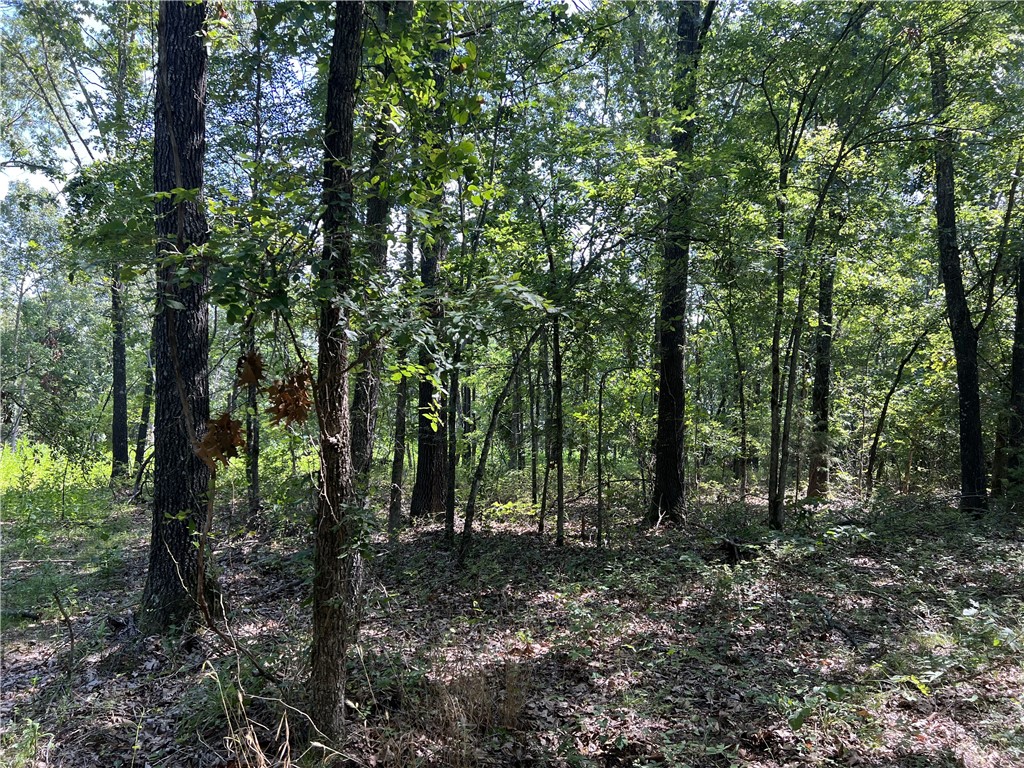 Possible Owner Financing!! 4.71 Acres with large trees and nice cleared building sight. No Restrictions. This is a must see for a private home place.