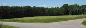 Come home to the country! Great acreage perfect for building located near the beautiful Piney Bay Recreation area. Great place for both Johnson and Pope County workers who want to live in the country! Survey uploaded to listing in documents.