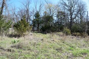 Lots of potential for this 3 ac m/l property in Oakland. Just 4 miles away from Oakland Marina, numerous resorts and campgrounds. Electric on property and city water available. Well and septic are installed but have not been used in many years. The functionality of the well and septic is unknown. Perfect place to build a home, cabin or bring your RV for your own personal vacation spot.