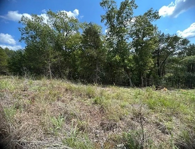 Discover the perfect spot to build your dream home or place a mobile home on this partially cleared and ready lot. This beautiful property offers more than half an acre of land with mature shade trees and plenty of privacy. With a little clearing, you’ll enjoy a stunning valley view from your future back deck. Whether you’re looking to build new or bring in a mobile home, this versatile lot provides the flexibility you need to make it your own. Located in the heart of the Ozarks, you’ll enjoy peace, quiet, and nature all around.
