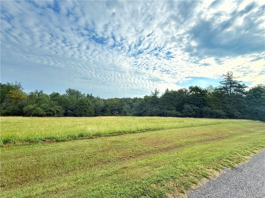 Discover 13.33 acres of opportunity in a peaceful rural setting with paved road frontage for easy access. Gently rolling terrain offers a potential homesite with beautiful views, while the mature, heavily wooded landscape ensures privacy and seclusion. With no restrictions, you have the freedom to create your dreamāwhether thatās building a custom home, starting a hobby farm, or enjoying it as a private retreat. The perfect blend of natural beauty and convenience, all in a serene country location.