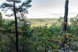 Enjoy the view from this very private wooded 11 acres m/l as well as the beautiful scenic drive to it. Both gates lead to different building spots with electricity already on site. Or take advantage of the 3 season screened porch for camping. Small spring on property. Less than 30 minutes to Ponca for Buffalo River access.