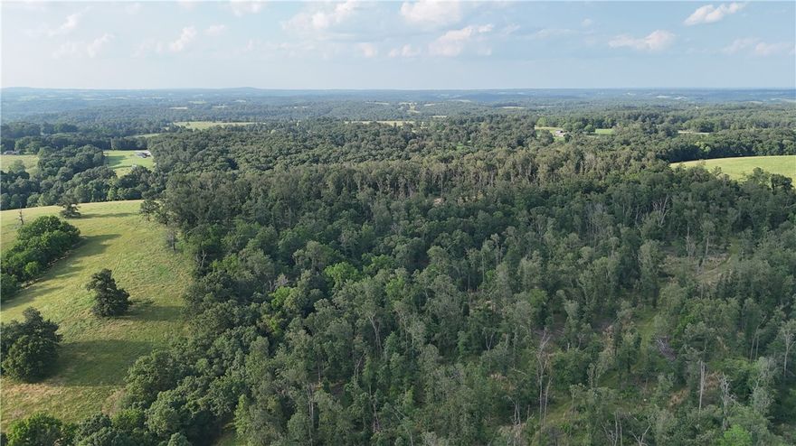Hard to find! 122 acres of land in a great location with dead-end privacy. Mostly wooded, with 35 m/l acres open, and nice long views. Land is rolling and useable with roads throughout. 2 year-round springs. Numerous building sites for your forever home or weekend getaway. Enjoy out of town living with room to roam the outdoors, yet convenient to Hwy 412 and necessities. Schedule your showing today!