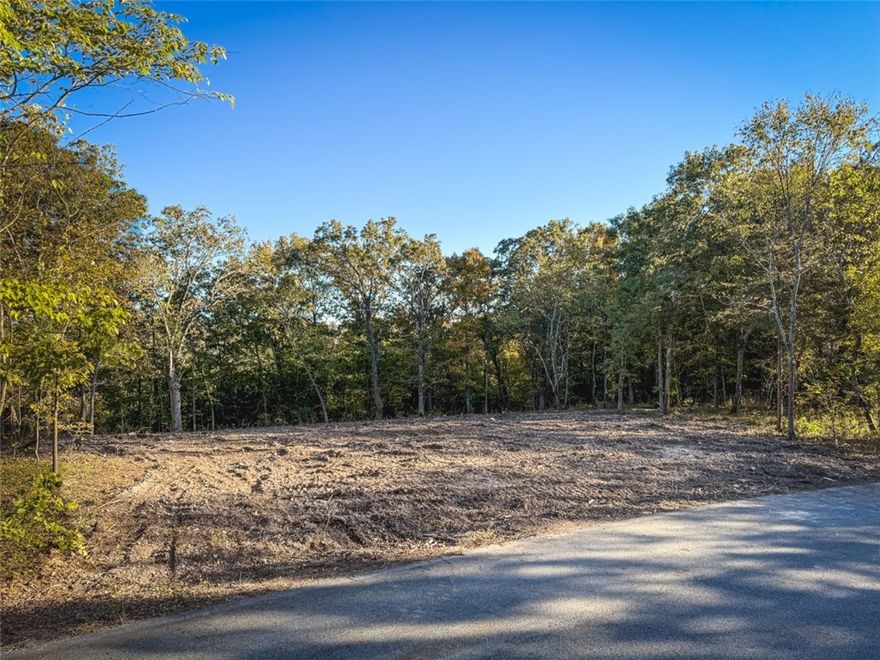Nestled in North Bentonville on a tranquil dead-end street, this 1.76-acre partially wooded lot offers privacy, breathtaking views, and boundless potential. Overlooking the picturesque Spanker Creek Valley, this property features mature hardwoods and has been intentionally left mostly uncleared. This thoughtful approach allows future homeowners to choose the ideal homesite for wooded privacy, while also giving them the chance to curate the view by selectively opening the wooded canopy. Enjoy the freedom to design and build your dream home with no HOA restrictions in a highly sought-after area. Conveniently positioned just 5 minutes to Lake Bella Vista Starbucks & Lowe’s, less than 10 minutes to I-49 & downtown Bentonville , and 15 minutes Walmart’s new corporate campus, this property perfectly balances natural beauty with accessibility—offering the best of Northwest Arkansas living.